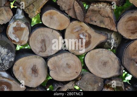 Cut wooden logs piled in rustic outdoor arrangement Stock Photo