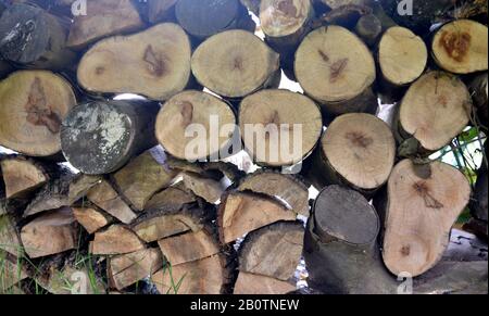 Cut wooden logs piled in rustic outdoor arrangement Stock Photo