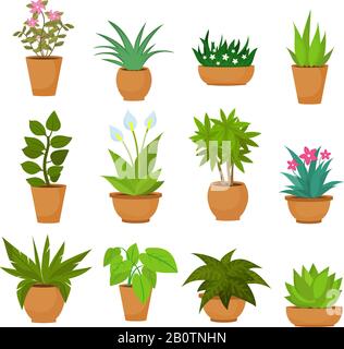 Indoor and outdoor landscape garden potted plants isolated on white. Vector set green plant in pot, illustration of flowerpot bloom Stock Vector