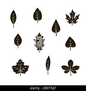 Vector autumn leaf icon set Stock Vector