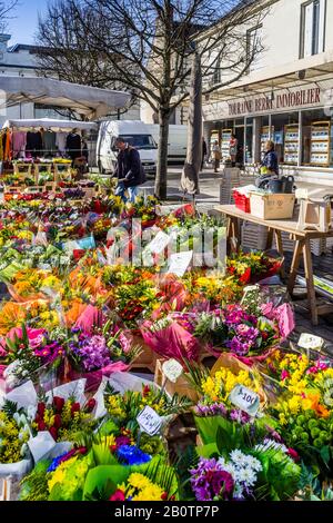 Traditional Saturday morning flower market in Loches, Indre-et-Loire, France. Stock Photo