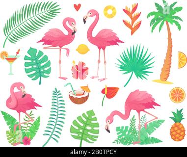 Pink flamingo and tropical plants. Beach palm, african plant leafs, rainforest flower, tropic palms leaf and rosy flamingos vector set Stock Vector