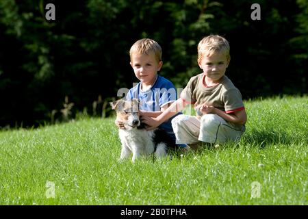 Boys and Pup Wire-Haired Fox Terrier Stock Photo