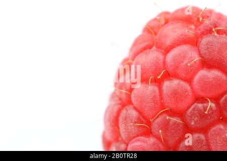 raspberry isolated on white with copyspace Stock Photo