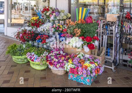 THAMES, NEW ZEALAND - November 07 2019: cityscape of historical village with fake flowers on sale at covered walkway on main street, shot in bright la Stock Photo