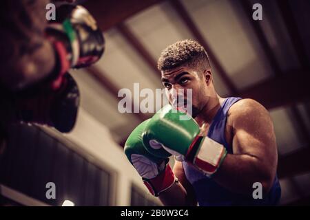 Close up of male boxer wearing green boxing gloves in boxing ring. Stock Photo
