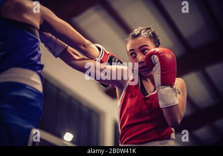 Low angle view of female boxer wearing red boxing gloves. Stock Photo