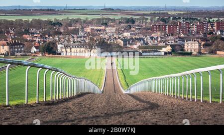 Newmarket Town in England, the Racehorse capital of the world for breeding and training. Strength & Stamina Training can be seen 6 days a week. Stock Photo