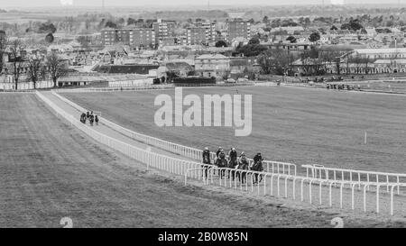 Newmarket Town in England is the racehorse capital of the world for breeding and training, Strength & stamina training, racing well over 350 years. Stock Photo