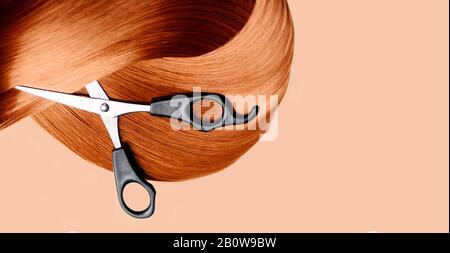 Top view of healthy red hair lock extension and hairdresser scissors on pastel background. Hairdressing tool from above. Professional hairstyle studio Stock Photo