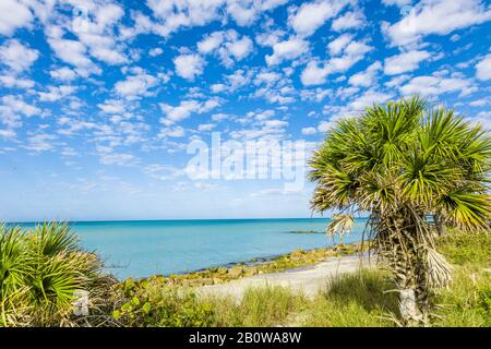 Gulf of Mexico from Caspersen Beach in Venice Florida with blue sky with puffy white clouds Stock Photo