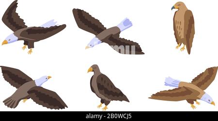 Eagle icons set, isometric style Stock Vector