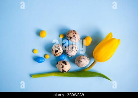 Blue spring and Easter background with quail eggs colorful candies and yellow tulips. Top view with copy space Stock Photo