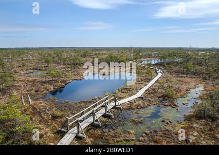 Wooden trail over swamp in Great Kemeri Bog Boardwalk, Latvia, Europe Stock Photo