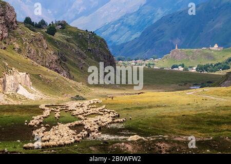 Herd of sheep and goats grazing in the mountains with shepherd and dog and fortified church and village in background and house with cross high on a h Stock Photo