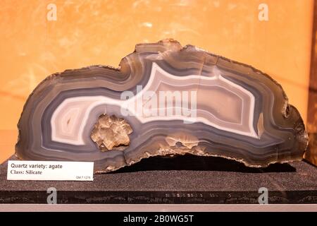 Geological museum exhibit, quartz variety agate, class silicate Stock Photo