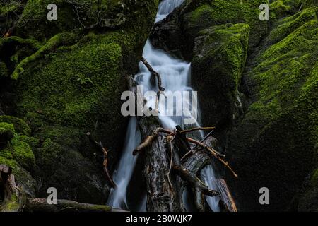 Branches in a waterfall Stock Photo