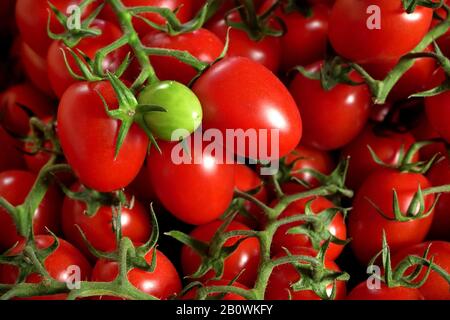 Heap of red cherry tomatoes with one unripe green fruit Stock Photo