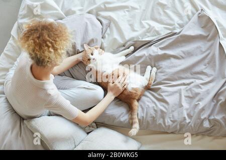 Domestic cute cat lying on bed and enjoying while her owner petting her they are in the bedroom Stock Photo