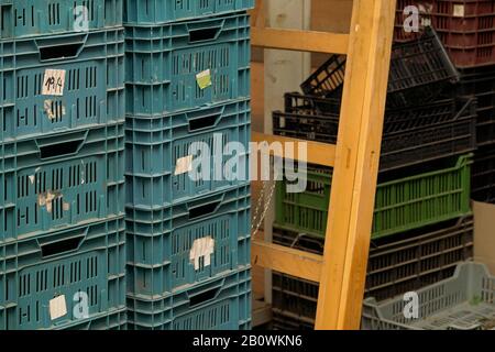 Plastic boxes stacked in warehouse room, wooden ladder and more containers at background Stock Photo