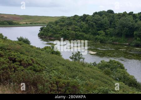 Bosherston lily ponds, Bosherston, Stackpole, Pembrokeshire, Wales ...