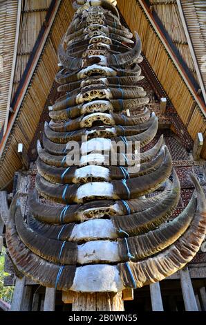 Horns of water buffalo in front of traditional Tongkonan ancestral house as a symbol of the prestige of the residents, Rantepao, Toraja highlands, Tana Toraja, Sulawesi, Indonesia, Southeast Asia Stock Photo