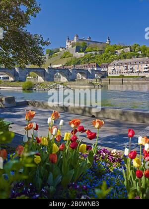 Old Main bridge with Marienberg Fortress in Würzburg, Lower Franconia, Bavaria, Germany, Europe Stock Photo