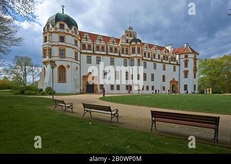 Celle Castle, Lower Saxony, Germany, Europe Stock Photo