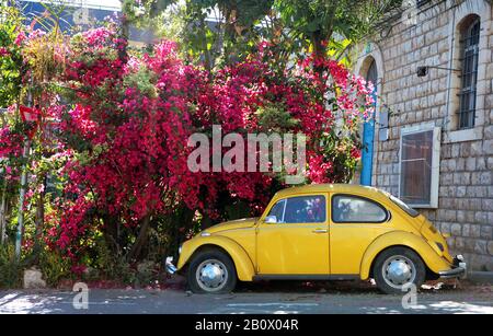 Yellow and green VW beetle bug near beach, Ventanilla, Oaxaca