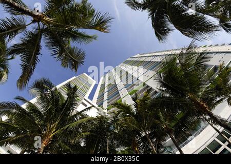 View to the sky, super wide angle, skyscrapers, EPIC Marina, Miami River Walk, Downtown Miami, Florida, USA, Stock Photo