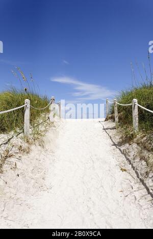 Beach path, transition, dune vegetation on South Pointe Park, Miami South Beach, Florida, USA, Stock Photo