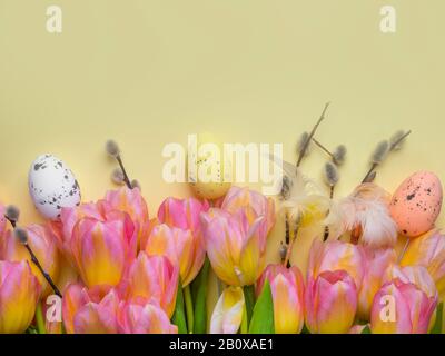 Fresh Beautiful multi color tulips on yellow background, copy space, spring holiday greeting card concept Stock Photo