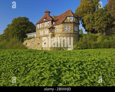 Petershagen Castle on the Weser, Kr. Minden-Lübbecke, North Rhine-Westphalia, Germany, Stock Photo