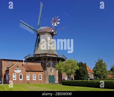 Dutch windmill, Krummhörn-Pewsum, East Frisia, Lower Saxony, Germany, Stock Photo