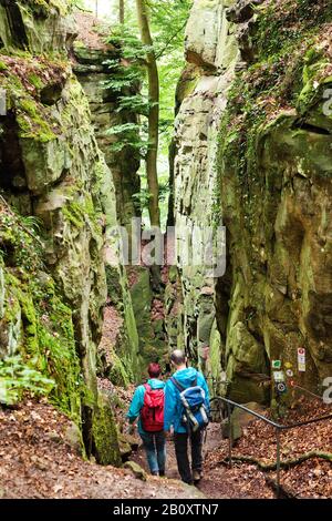 wanderers in the Devil's Gorge in the South Eifel Nature Park, Germany, Rhineland-Palatinate, Eifel, Irrel Stock Photo