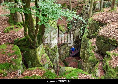 wanderer in the Devil's Gorge in the South Eifel Nature Park, Germany, Rhineland-Palatinate, Eifel, Irrel Stock Photo