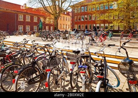 many bicycles parked in the inner city, Germany, North Rhine-Westphalia, Munster Stock Photo