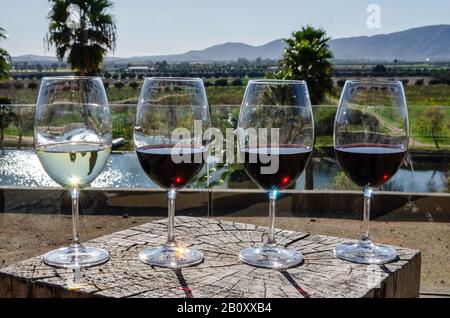 Glasses of wine at lake in Guadalupe valley Stock Photo