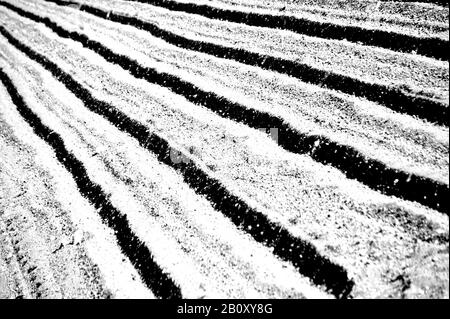 Black and white image that forms a pattern of black lines that meet at a point near one of the upper corners of the image Stock Photo