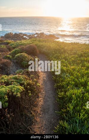 Soberanes Point in California features excellent views of the Pacific Ocean. Stock Photo