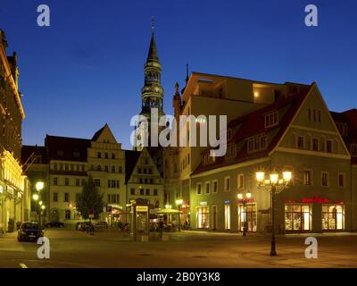 Cathedral and houses at the main market in Zwickau, Saxony, Germany, Stock Photo