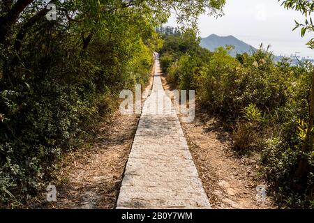 Trail, footpath, country road, pathway, alley, lane in Hong Kong forest as background Stock Photo
