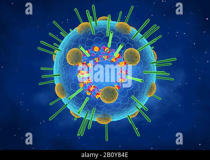Myxovirus, illustration Stock Photo