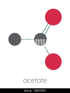 Acetate anion chemical structure, illustration Stock Photo