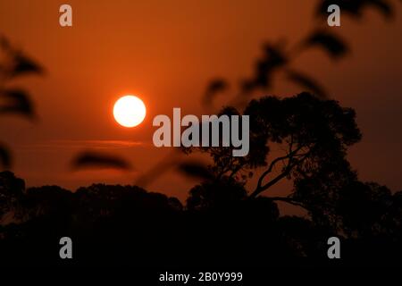 The red sunset of the fire season, Lakes Entrance Stock Photo - Alamy