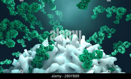 Antibodies attacking cancer cell, illustration Stock Photo - Alamy