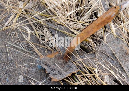 The remains of an old shovel. It is severely rusted and much is missing. It rests in sand and straw on a beach. Closeup view. Stock Photo
