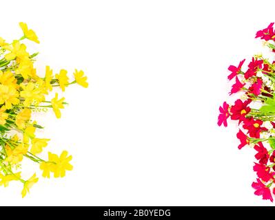 Các loại hoa lan là những loài hoa vô cùng quý hiếm và đẹp mắt. Mỗi đóa hoa lan mang một màu sắc và hình dáng riêng biệt, làm cho nó trở thành một trong những loài hoa được yêu thích nhất trên thế giới. Hãy chiêm ngưỡng những đoá hoa lan tuyệt đẹp trong ảnh.