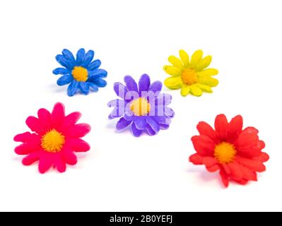 Flowers of different colors on a white background. Stock Photo
