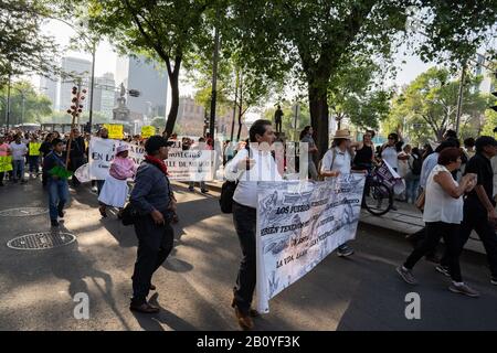 Mexico City, Mexico. 21st Feb, 2020. protesters hold banners as they march along Reforma Avenue. Thousands of people march in protest at the one year anniversary of the death of Samir Flores. Credit: Lexie Harrison-Cripps/Alamy Live News Stock Photo